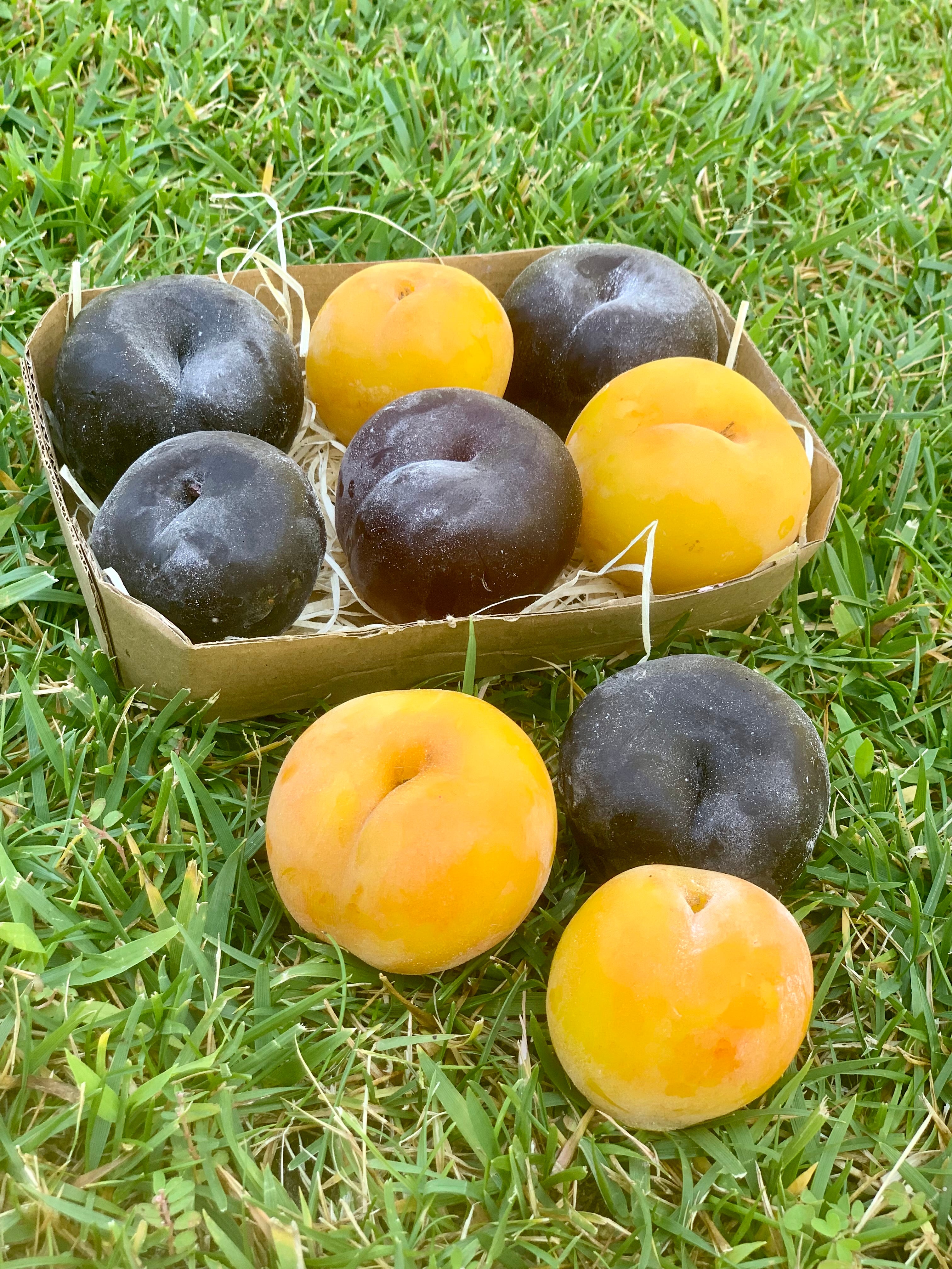 Sabonete ”Ameixas”