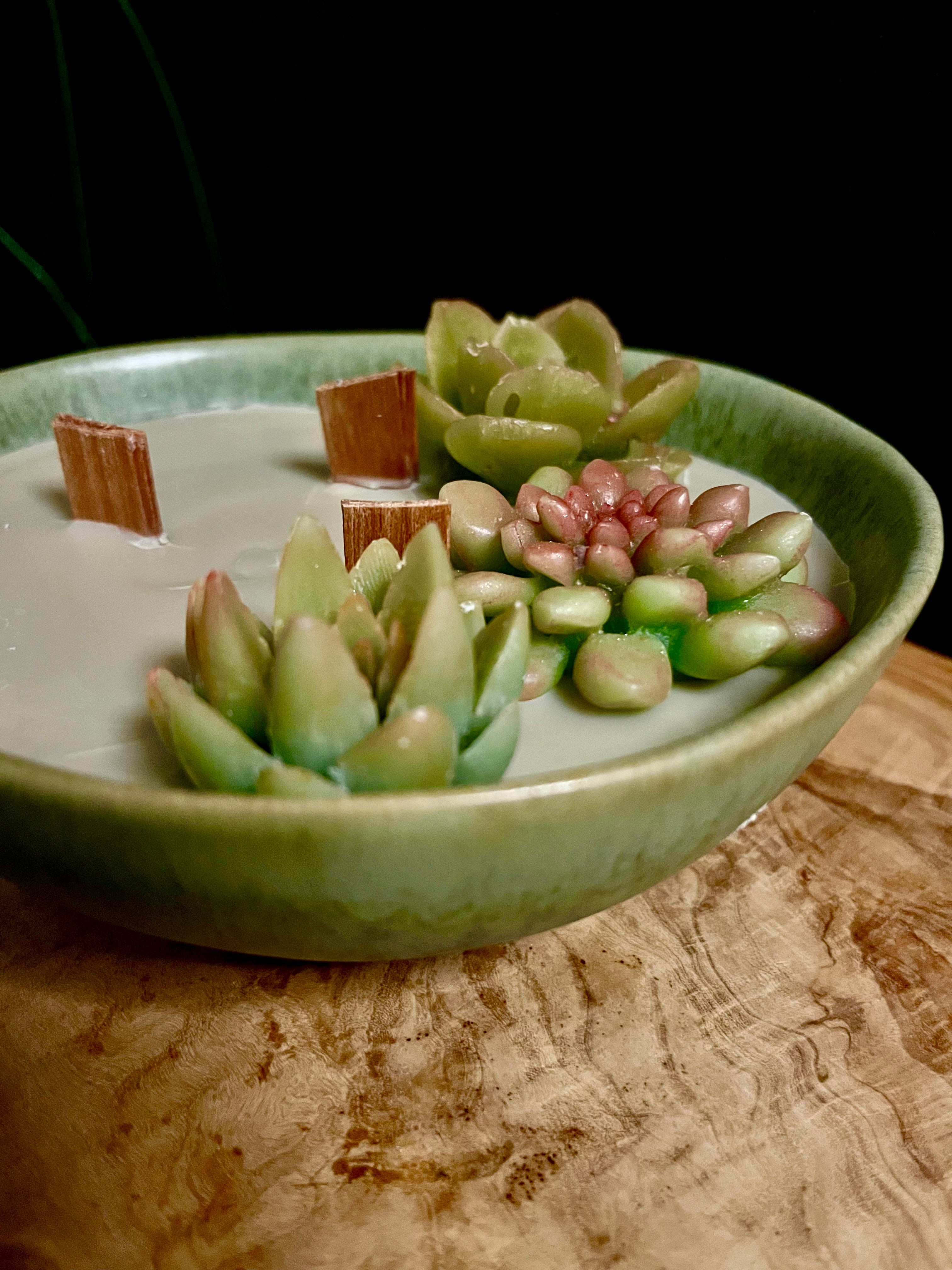 Vela “Suculentas”