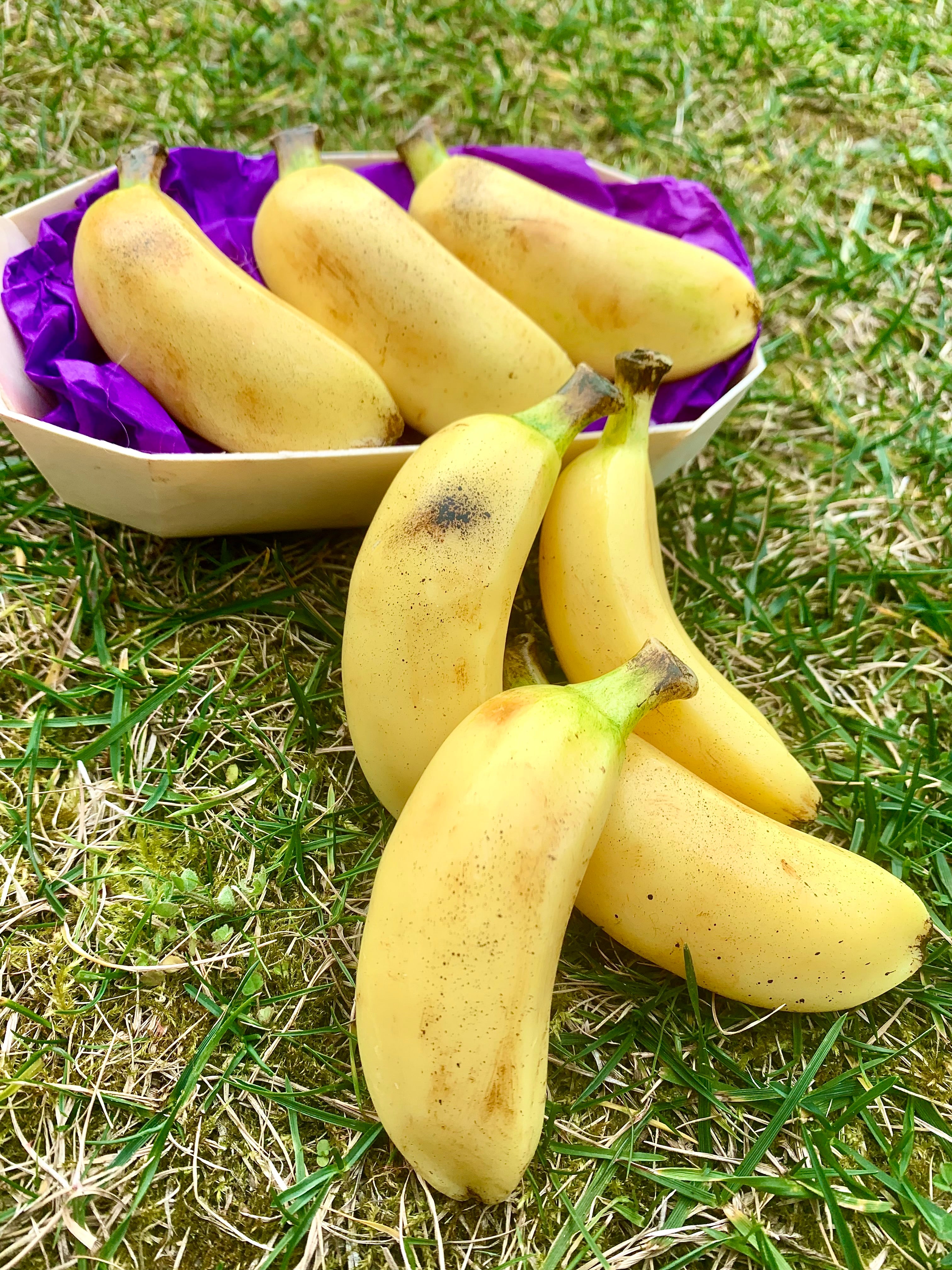 Sabonete “Banana”